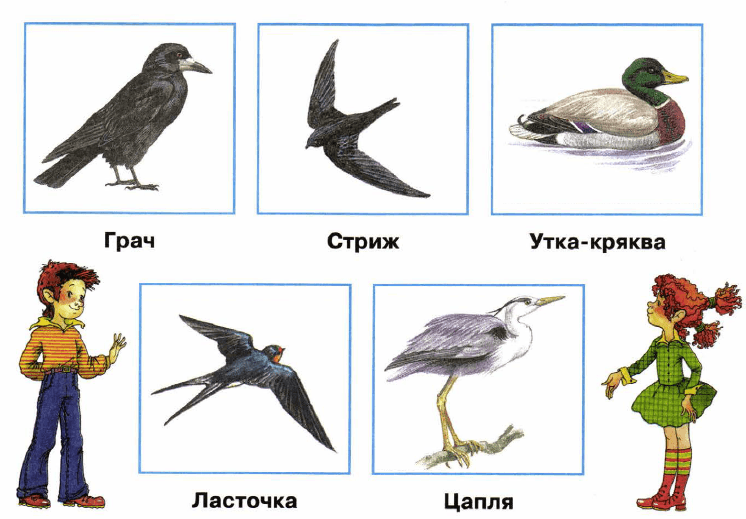 Решение рисунок 2